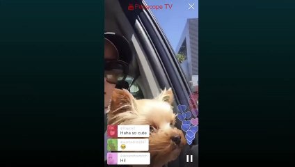 Periscope İzle - Beth Behrs - Riding Dirty