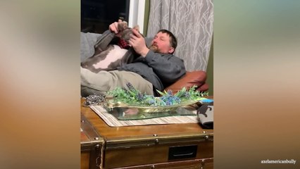Cute Dog Can't Stop Hugging Their Human - Cute Ani