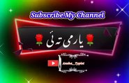 Yaar mi tu ye | Pashto poetry | pashto black screen status | ansha__typist.