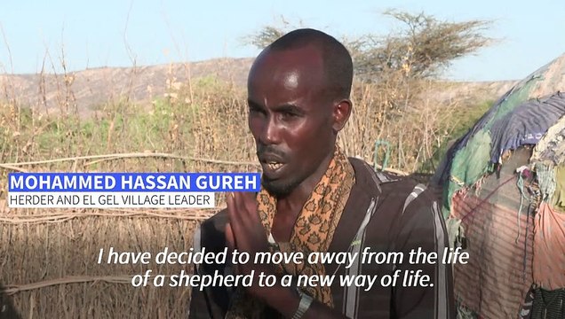 In drought-stricken Ethiopia, the herders' heartache