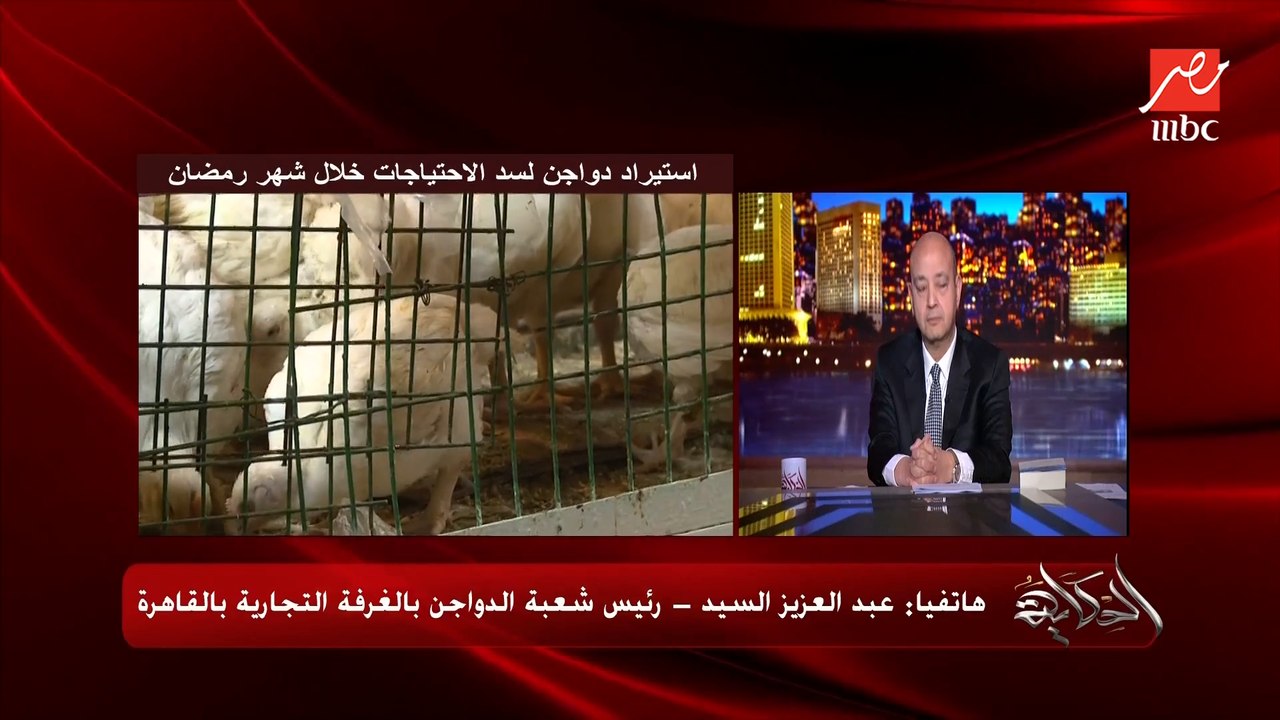 استيراد دواجن لسد الفجوة وتوفير احتياجات المواط...