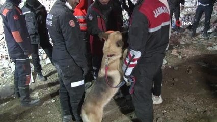 Kanatlı Apartmanı'nda çalışmalar sona erdi
