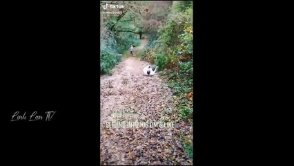 Continuous laughter, crazy comedy 2023