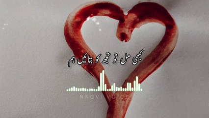 Kabhi Mil To Tujhko Btaen Hum | कभी मिल तो तुझको बंटें हम | Naqvi Voice