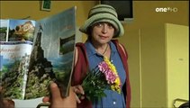 Der Job seines Lebens 2 - Wieder im Amt (2006) Filme Deustche HD