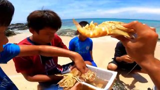 Sang Vlog -  Thủy Quái 5 KG Của Biển Cả - Bữa Tiệc Chia Tay Biển Đảo Sang Vlog ( phần Cuối)