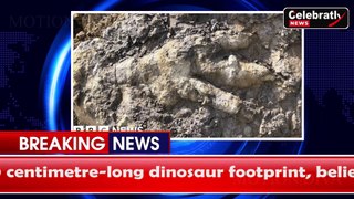 Giant Dinosaur Footprint Discovered on Yorkshire Coast