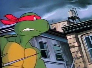 Teenage Mutant Ninja Turtles (1987) Teenage Mutant Ninja Turtles E040 – Return of the Fly