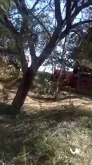 पांच लाख की रॉयल्टी चोरी, रोज 170 ट्रॉली रेत निकाली जा रही