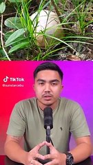 Bird hunter finds skeleton in Danao City, Cebu