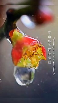 Today's Chinese Solar term rain water.今日是中國節氣——雨水。期盼風調雨順，國泰民安。Today's Chinese Solar term rain water.Look forward to good weather, peace and prosperity.