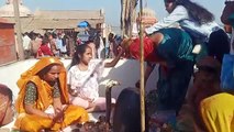 mahashivratri festival