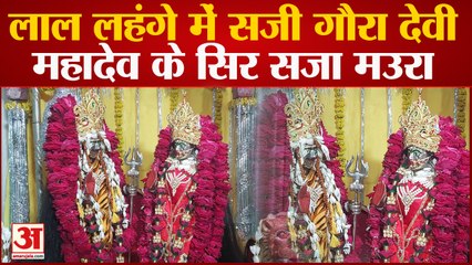 Varanasi: लाल लहंगे में सजाईं गई गौरा देवी, महादेव के सिर सजा मउरा, शिवमय हुई बाबा की नगरी