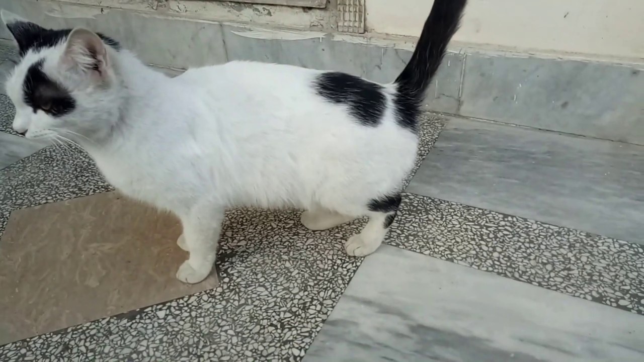 She is fine now