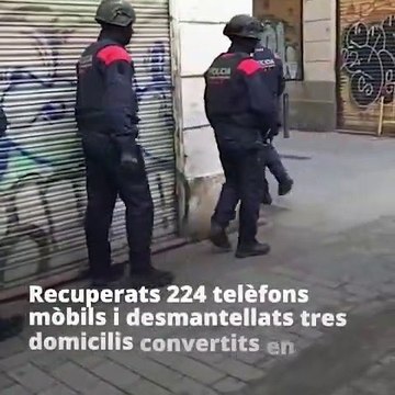 Los Mossos recuperan 225 móviles robados / MOSSOS