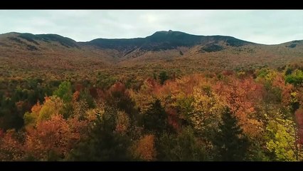 PAINT Official Trailer (2023) Owen Wilson, New Movie Trailers 4K