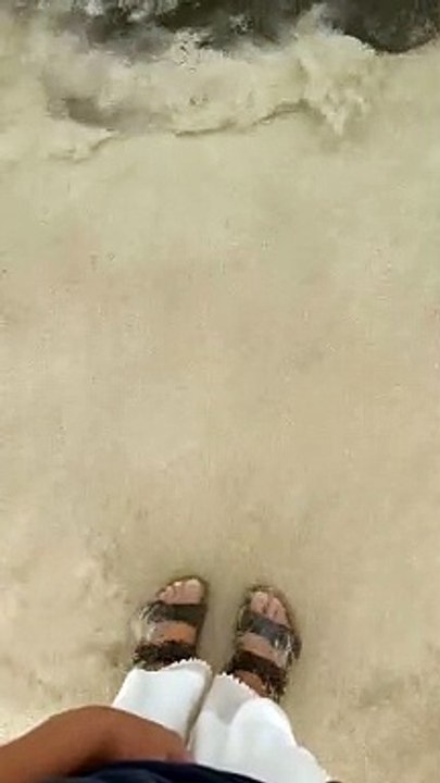 Massive Stingray On The Beach