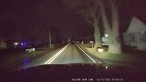 Driver Narrowly Avoids Hitting Stray Dog