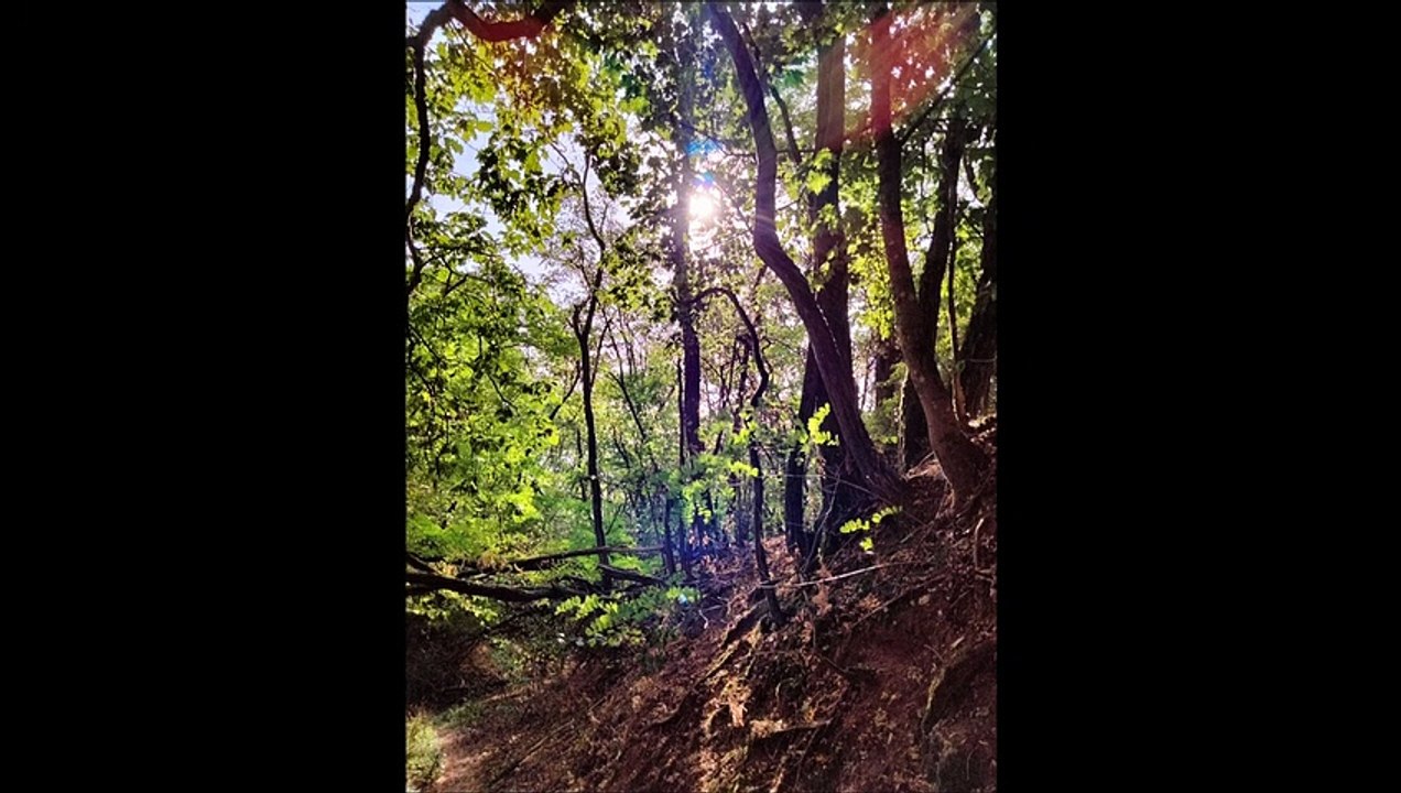 Photos et Vidéos de ma sortie du 14.08.2022