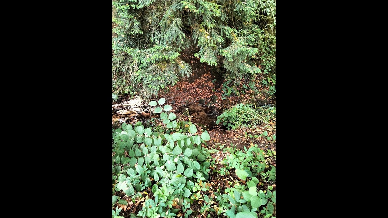 Photos de ma sortie du 08.09.2022