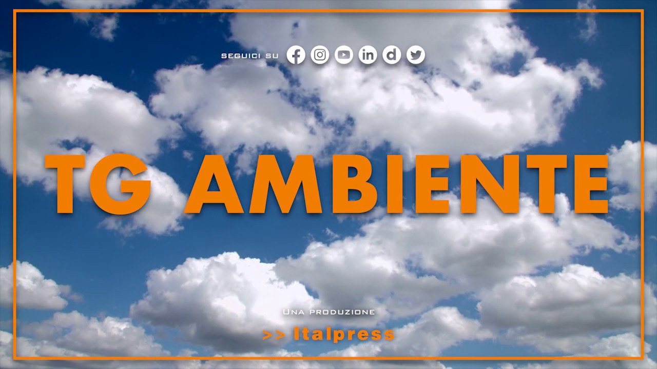 Tg Ambiente - 19/2/2023