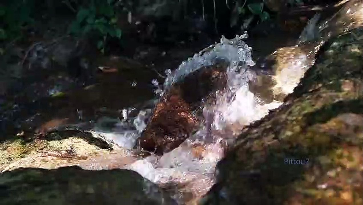 "Bien-être" Eau Rocher - Relaxation - Détente