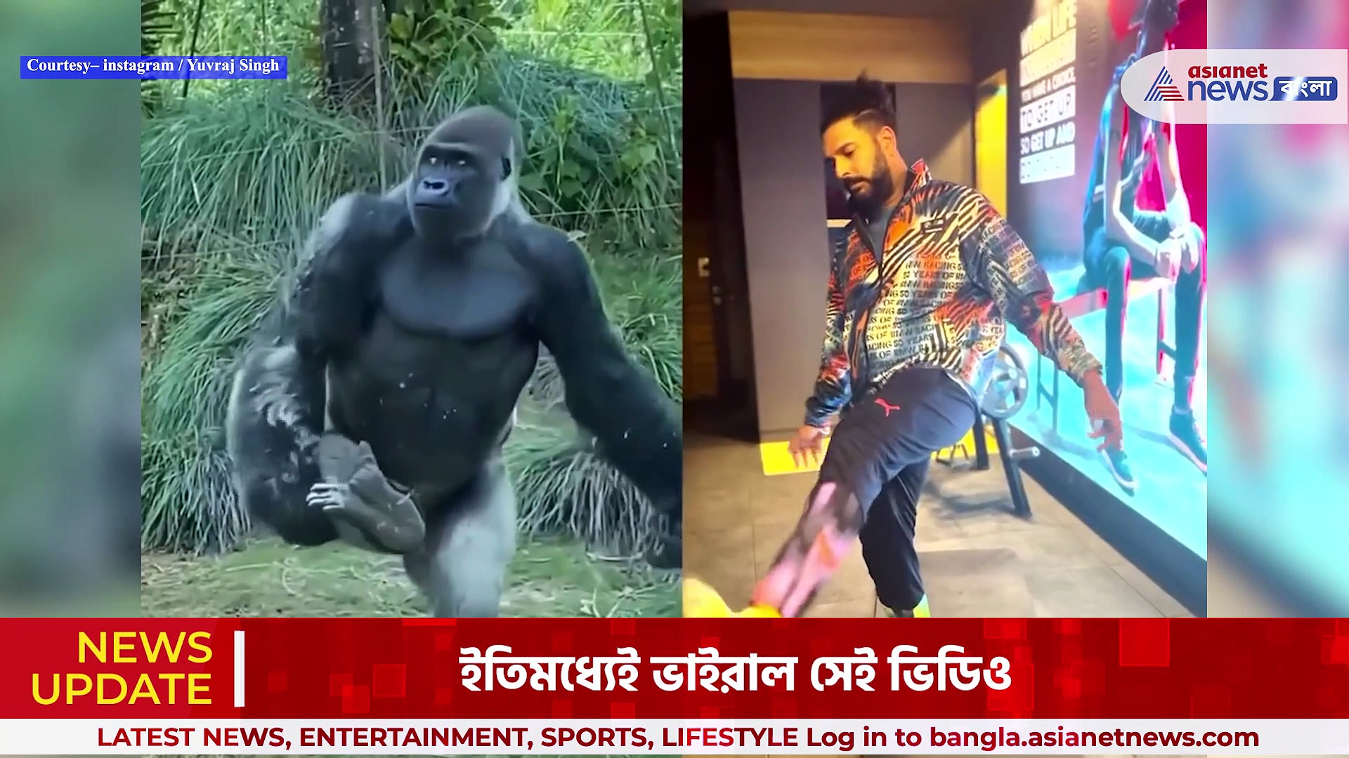 Yuvraj Singh : শিম্পাঞ্জিকে নকল করে শরীরচর্চা, মজার ভিডিও শেয়ার যুবরাজ সিংয়ের