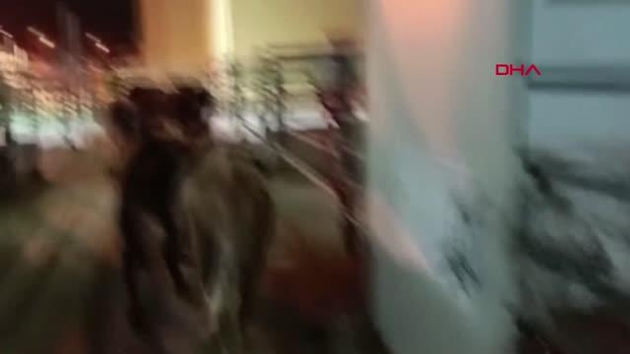 Et ve Süt Kurumu'ndan depremzedelere 90 ton et ile 7 ton süt ve süt ürünü