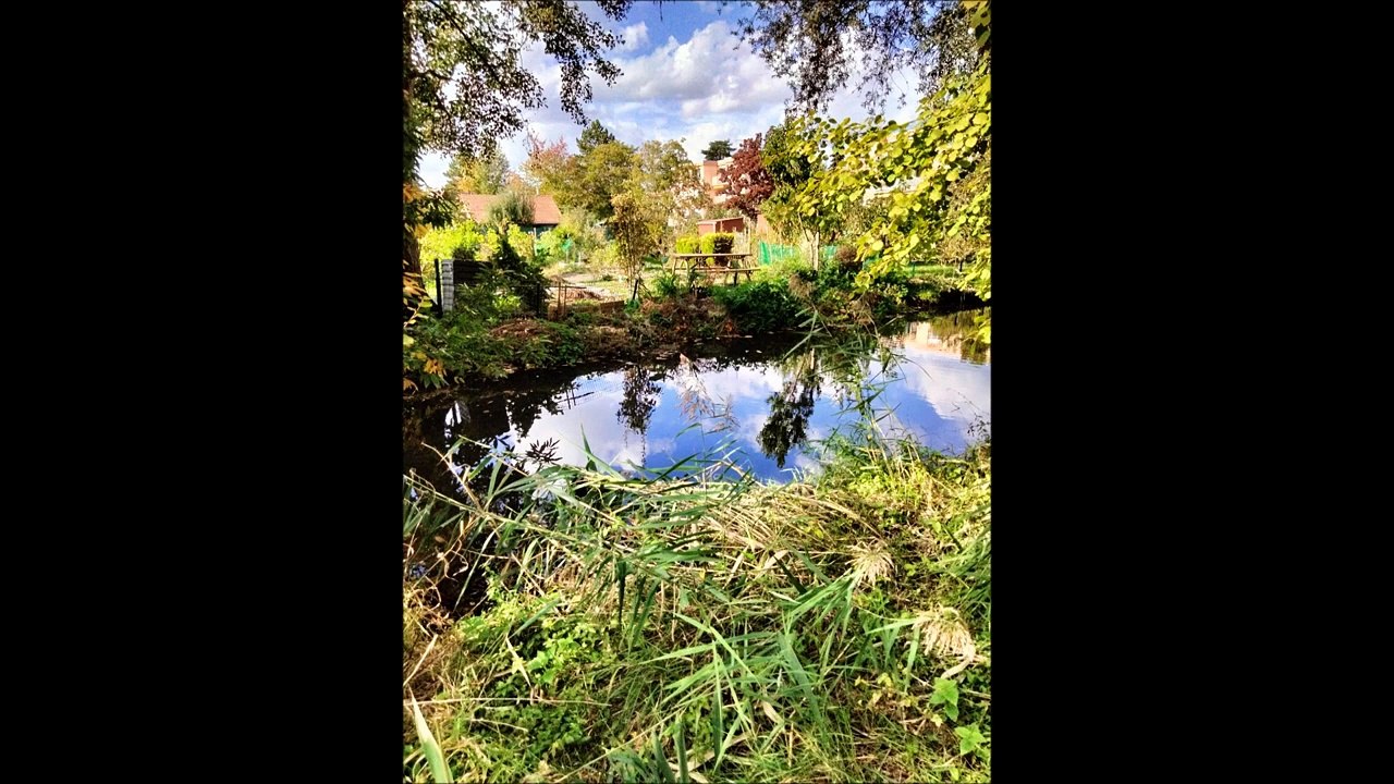 Photos de ma sortie du 10.10.2022