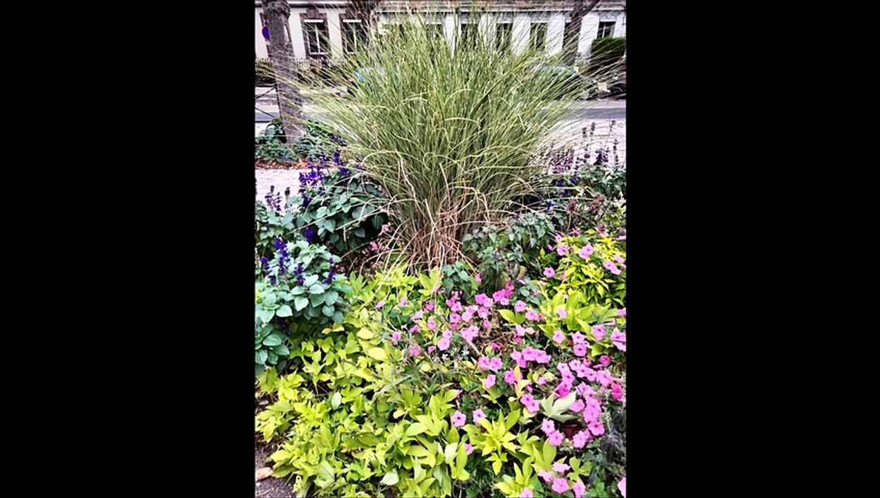 Photos de ma sortie du 13.10.2022