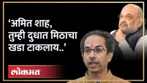 ‘अमित शाह, तुम्ही दुधात मिठाचा खडा टाकलाय..’, ठाकरेंचा निशाणा | Uddhav Thackeray on Amit Shah | HA