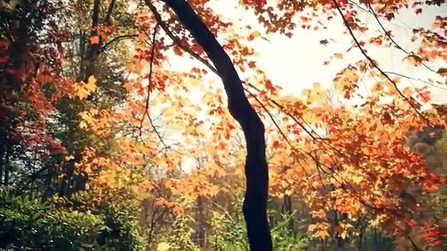 Fatih Aydın – Unutma Beni (EN GÜNCEL MÜZİKLER)