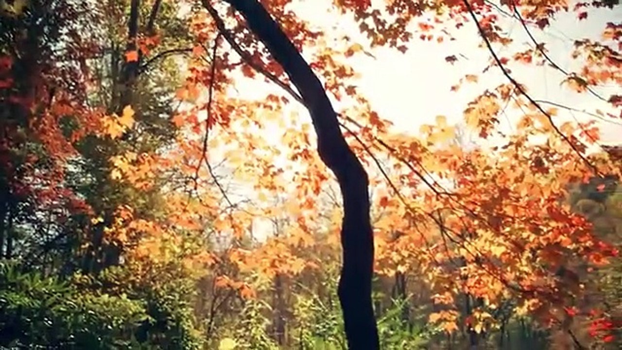 Fatih Aydın – Unutma Beni (EN GÜNCEL MÜZİKLER)