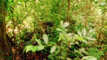 Genesis Capitulo 8 en español