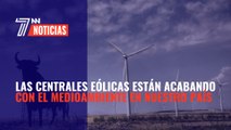 Las centrales eólicas están acabando con el medioambiente en nuestro país