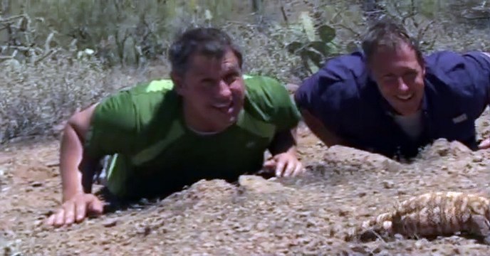 Wild Kratts Wild Kratts S02 E023 – Gila Monster Under My House