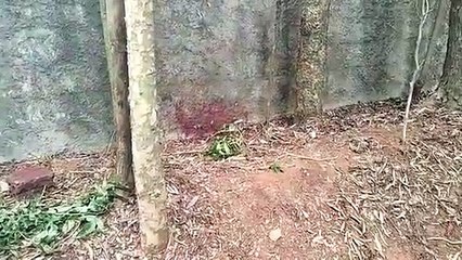Médico foi morto a pedrada no interior do bosque Uirapuru em Umuarama