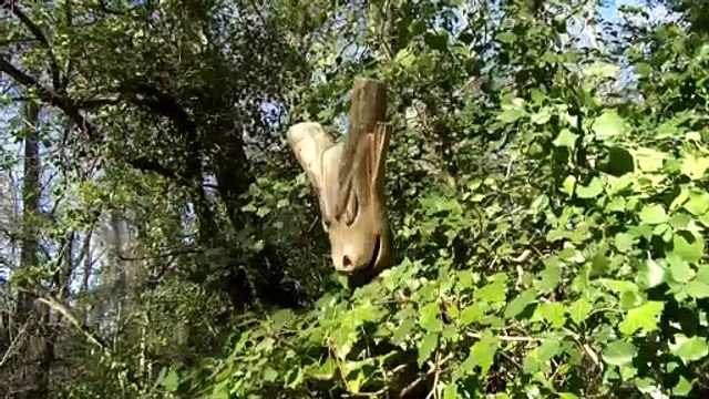 Parc de la Poudrerie St-Chamas-Miramas : venez voir les cigognes ?