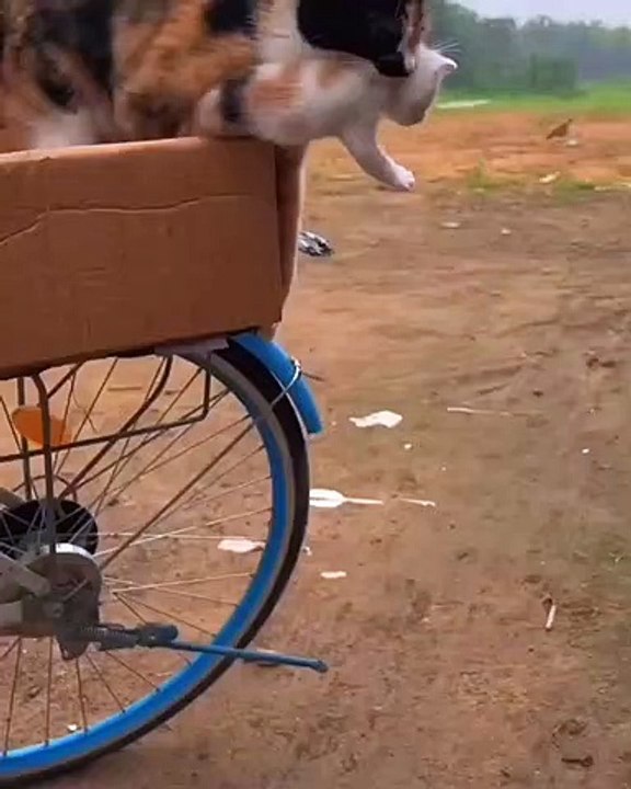 He is a speed slapper #short #shortvideo