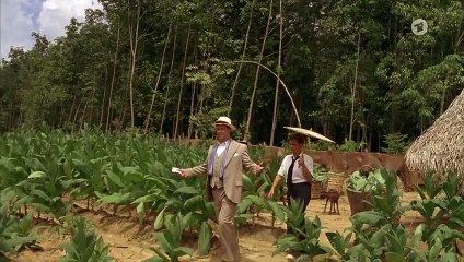 Liebe und Tod auf Java 2 (Ganzer Film Deutsch)