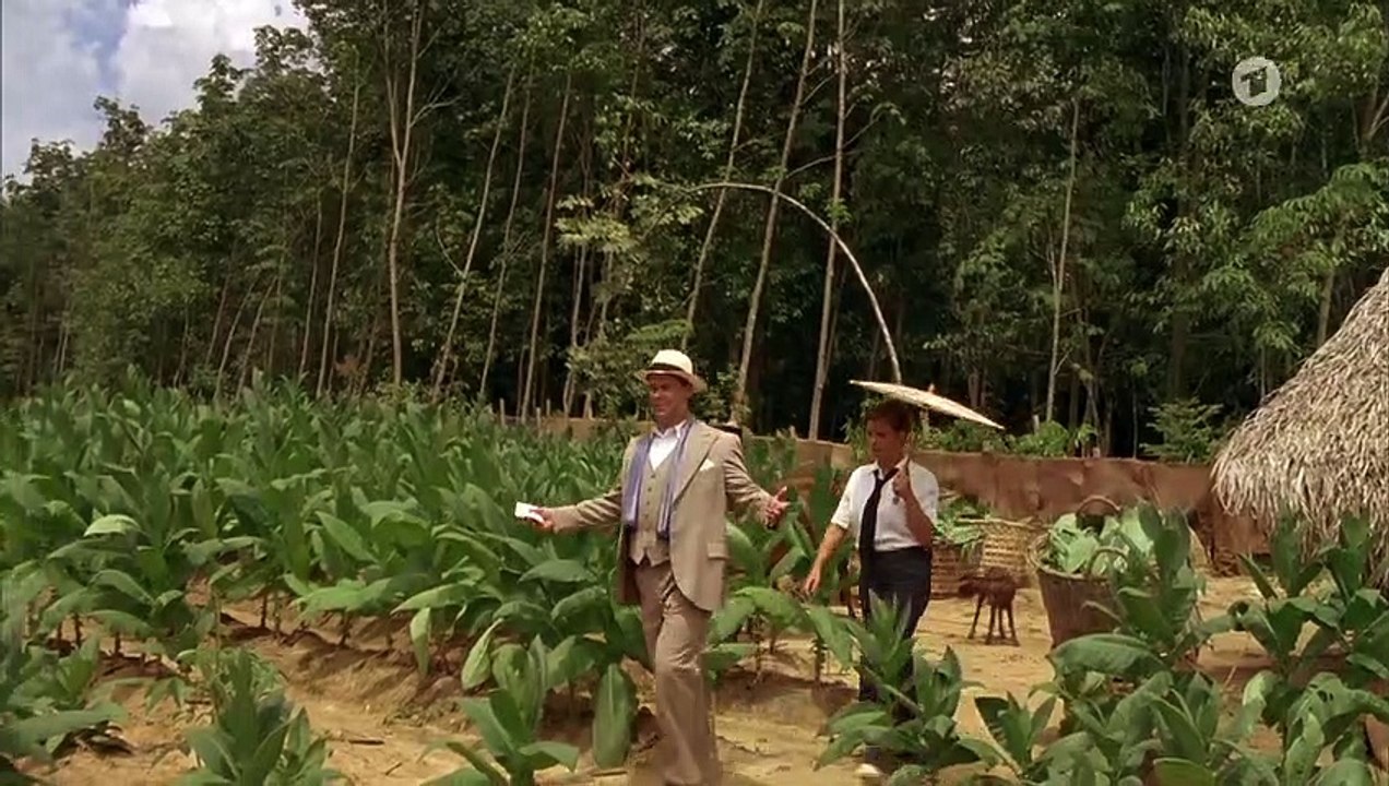 Liebe und Tod auf Java 2 (Ganzer Film Deutsch)