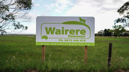 Wairere farms Heywood, Vic | February 20, 2023 | Farmonline