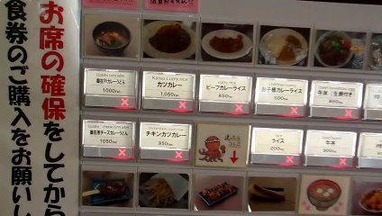 Restaurants with no Food in Japan!!