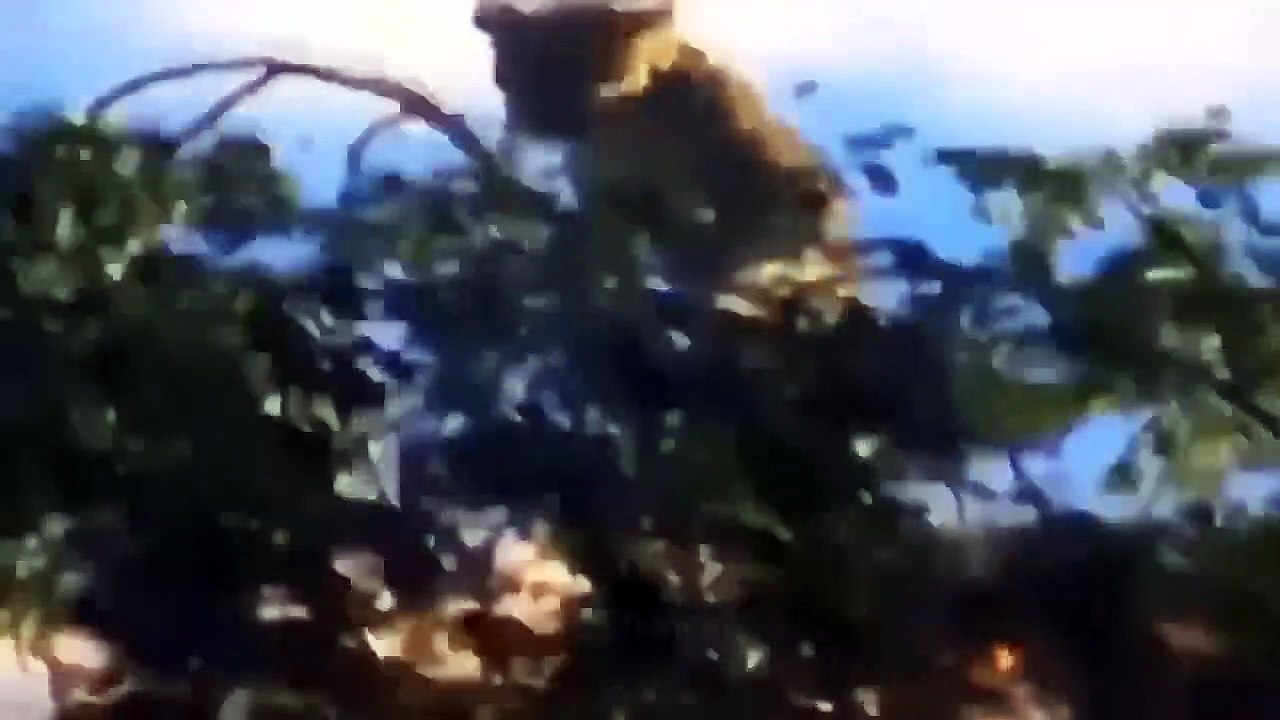 OMG! Leopard Hunting Impala► Fierce Battle For Prey Between Hungry Leopard And Cold Blooded Wild Dog