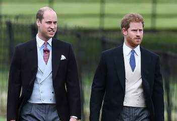 Lady Di's Ex-Butler Has Cancer: His Request For William and Harry
