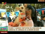 Misión Nevado realiza concurso de disfraces para felinos y caninos en el parque Los Caobos