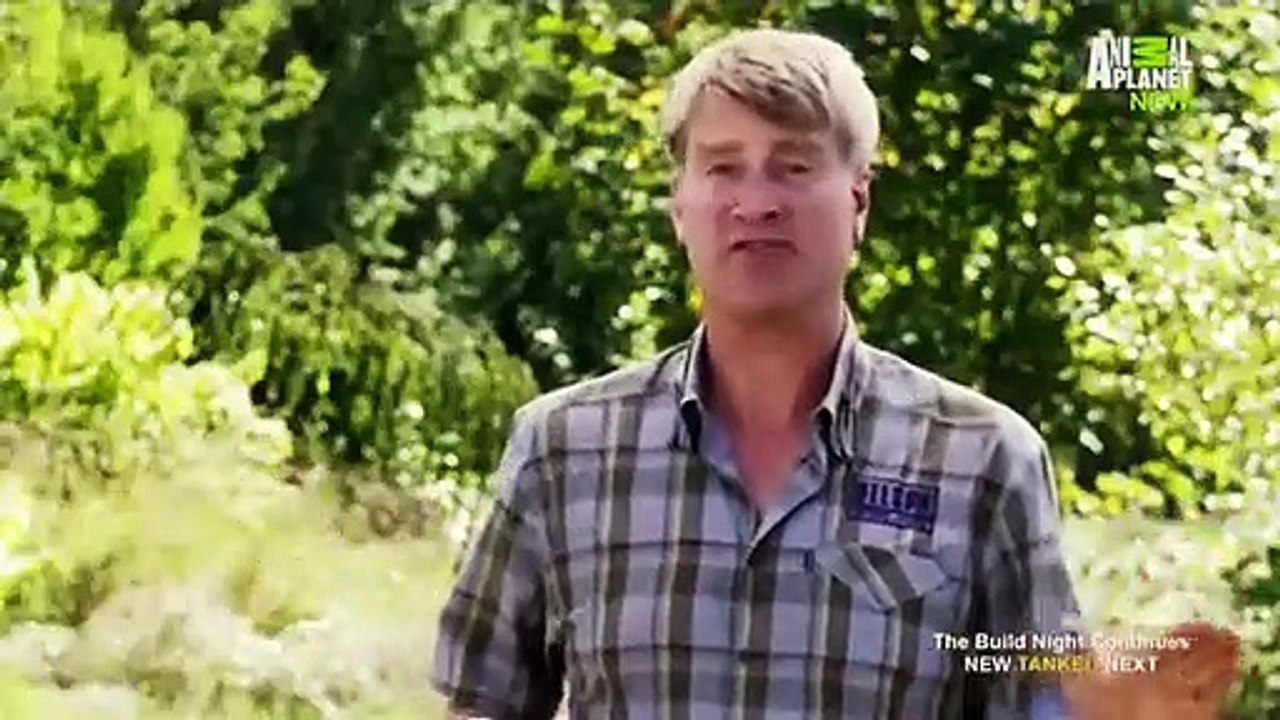 Treehouse Masters - Se2 - Ep17 HD Watch