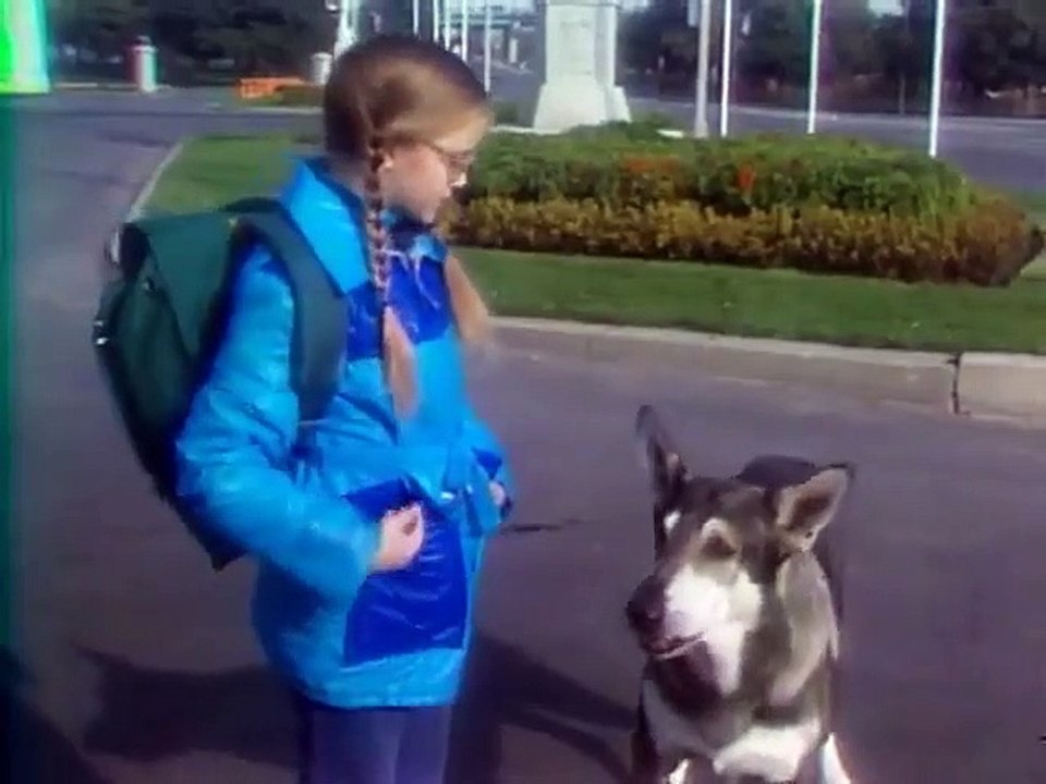 The Littlest Hobo - Se1 - Ep13 HD Watch