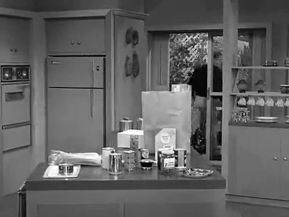 The Dick Van Dyke Show - Se1 - Ep29 HD Watch