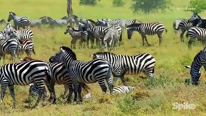 Time - The Kalief Browder Story - Se1 - Ep05 HD Watch